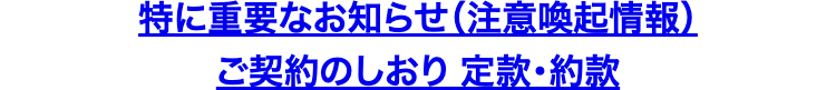 特に重要なお知らせ(注意喚起情報)
ご契約のしおり 定款・約款